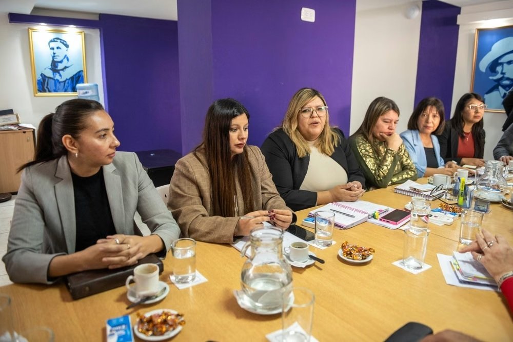 Desde Salud y el Senado, avanza el proyecto de ley de Salud Mental de la provincia