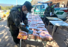 Detienen en Catamarca a una mujer que viajaba desde Salta con 4 kilos de cocaína y casi 50 kilos de marihuana