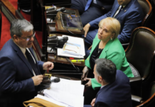 Diputados: la oposición aprobó su plan de trabajo sobre emergencia en Discapacidad y Morosidad