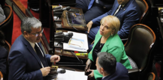 Diputados: la oposición aprobó su plan de trabajo sobre emergencia en Discapacidad y Morosidad