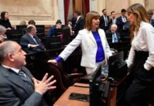 El Senado postergó una semana el dictamen del “Super-RIGI” por cambios que pidieron los aliados