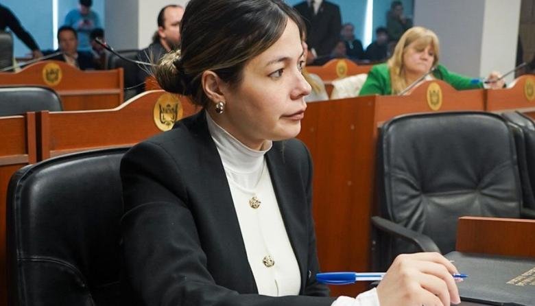 Herr vinculó los resultados de PISA con el desfinanciamiento educativo nacional: “Hay una relación directa”