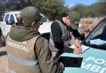 La Policía Ambiental interceptó y sancionó a un vecino por arrojar residuos en la vía pública