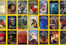 La revista “National Geographic”, el mayor archivo fotográfico de la naturaleza del mundo