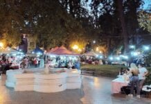 Proponen crear un Paseo Municipal de Artesanos en la Plaza 25 de Mayo