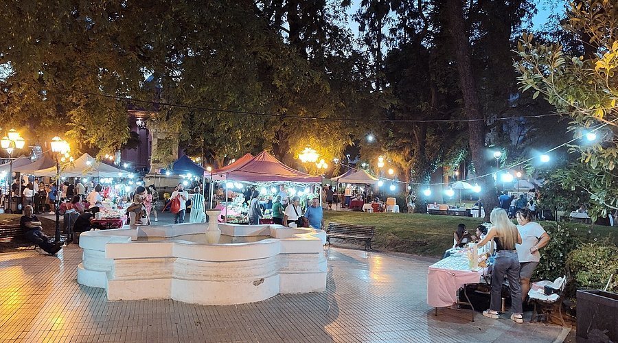 Proponen crear un Paseo Municipal de Artesanos en la Plaza 25 de Mayo