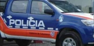 Siniestro vial causado por animal suelto