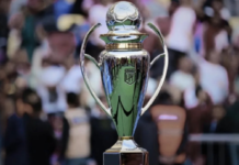 Así será el nuevo formato de la Liga Profesional 2027