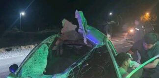Automovilista se salvó de milagro tras chocar con un caballo en Coneta