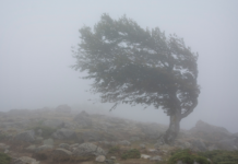 Catamarca: seis departamentos siguen bajo Alerta Amarillo por viento hoy martes y se mantiene inhabilitado el acceso al Balcón del Pissis