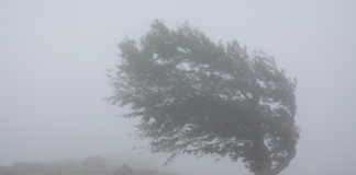 Catamarca: seis departamentos siguen bajo Alerta Amarillo por viento hoy martes y se mantiene inhabilitado el acceso al Balcón del Pissis