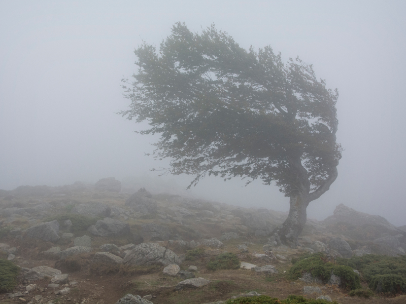 Catamarca: seis departamentos siguen bajo Alerta Amarillo por viento hoy martes y se mantiene inhabilitado el acceso al Balcón del Pissis