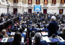 Diputados aprobó la nueva ley de Discapacidad: acuerdo amplio que incluyó al PJ