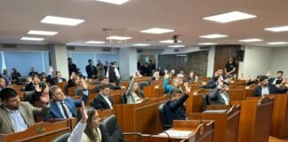 Diputados avanzó con la adecuación del Régimen Penal Juvenil y expropiaciones en Paclín y Pomán