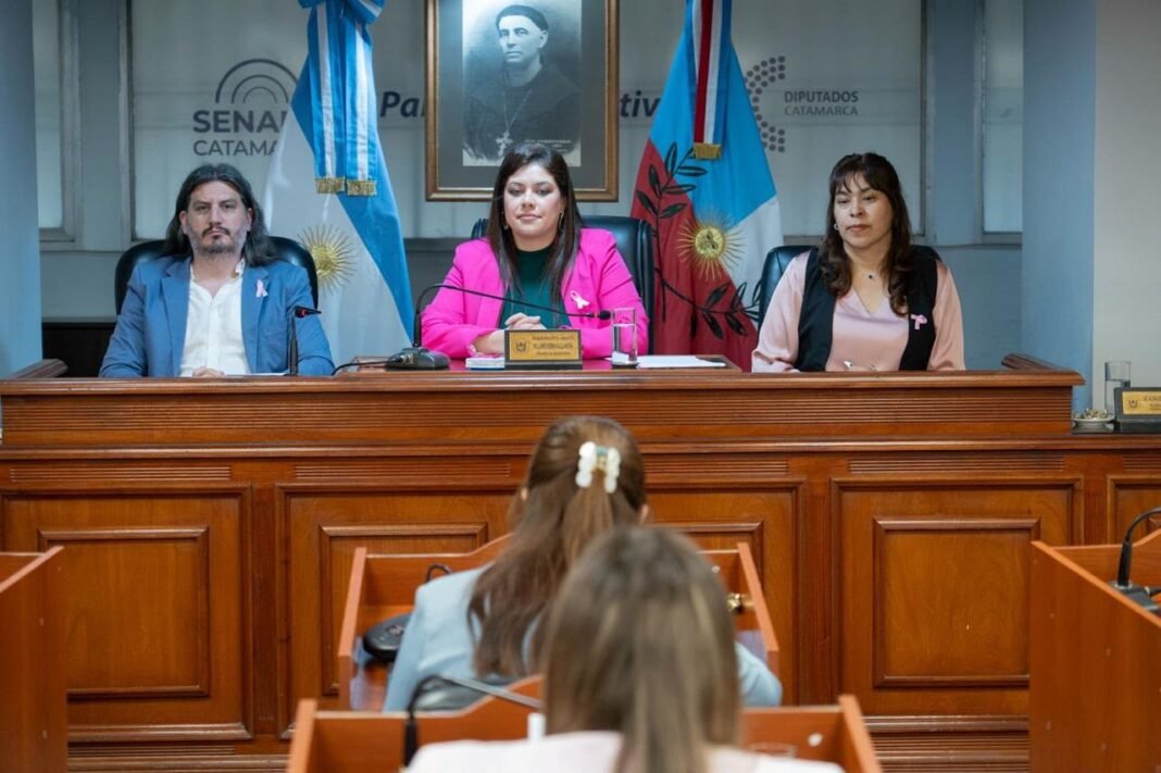El Senado aprobó iniciativas sobre prevención, educación y cultura