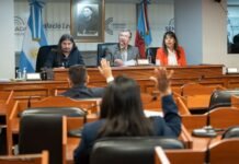 El Senado avanzó en proyectos de inclusión, igualdad de derechos y reconocimiento cultural