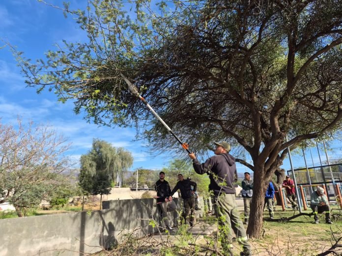 Finalizó la temporada de poda: 30 personas se capacitaron e integran el Registro Municipal de Podadores
