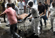 Una estampida dejó 17 muertos y 35 heridos en la India